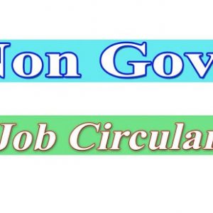Non Govt Job Circular