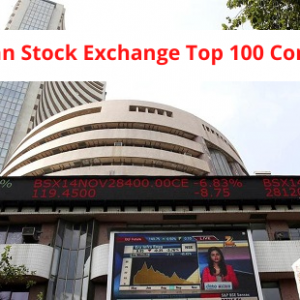 American Stock Exchange Top 100 Companies