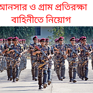 Bangladesh Ansar VDP