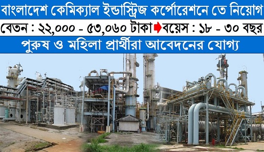 Bangladesh Chemical Industries Corporation BCIC Job Circular