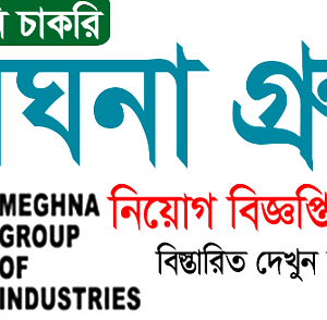 Meghna Group Industries